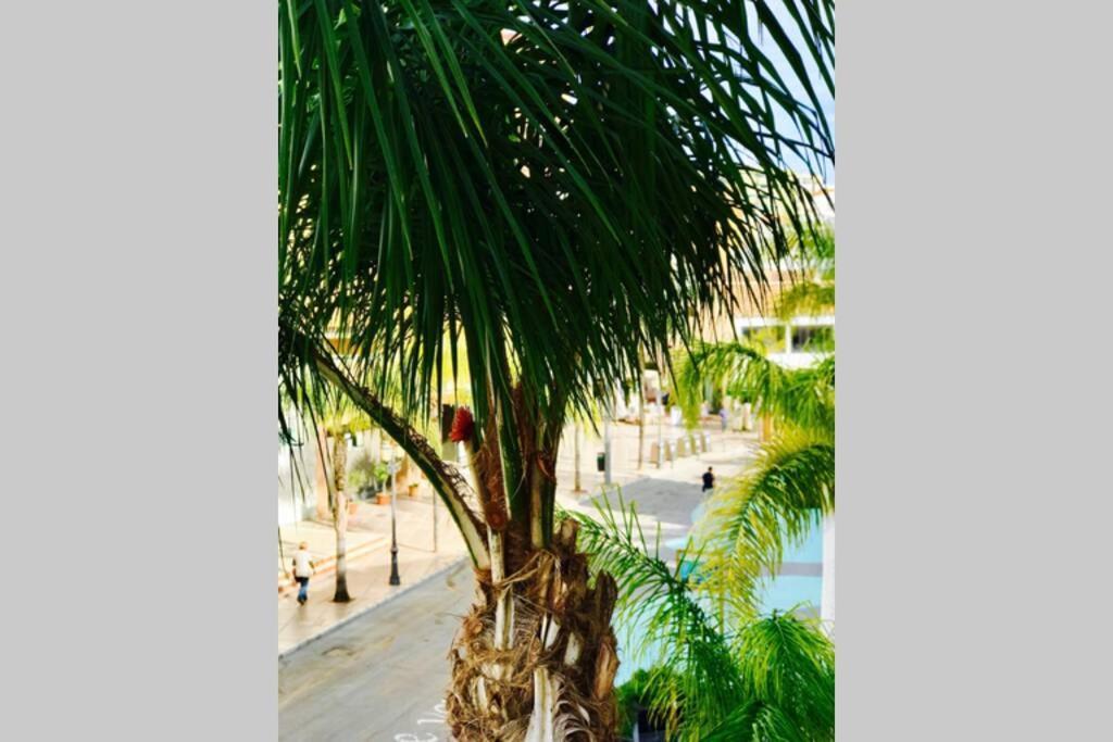 Begona City Center Studio 231 By Namaste Elite Torremolinos Zewnętrze zdjęcie